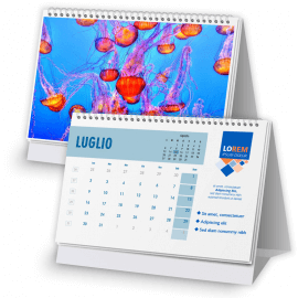 Calendario 16,5x11,5 - fogli 12+1 - f/retro