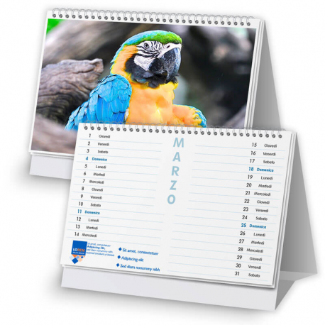 Calendario 21x14,8 - fogli 12+1 - f/retro Calendario 21x14,8 - fogli 12+1 - f/retro